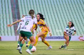 Santos vs Tigres femenil @tar.mx