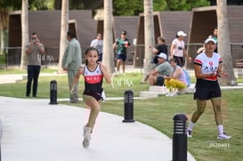 aba @tar.mx