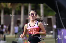 aba @tar.mx