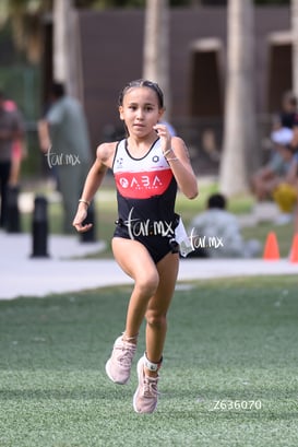 aba @tar.mx