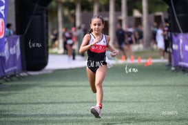 aba @tar.mx