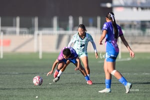 Mereli Zapata, Anahí Regalado