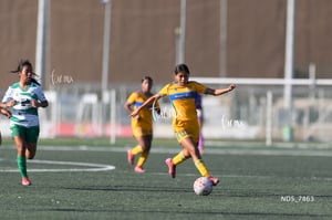 Santos Laguna vs Tigres UANL S19