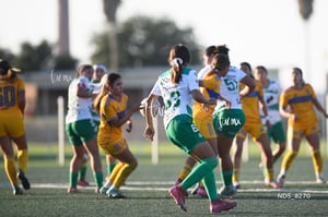 Santos Laguna vs Tigres UANL S19