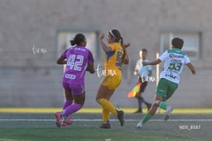 Santos Laguna vs Tigres UANL S19