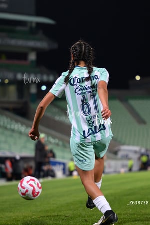 Santos vs Necaxa femenil