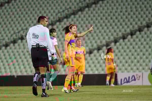 Santos vs Tigres femenil