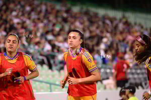 Santos vs Tigres femenil