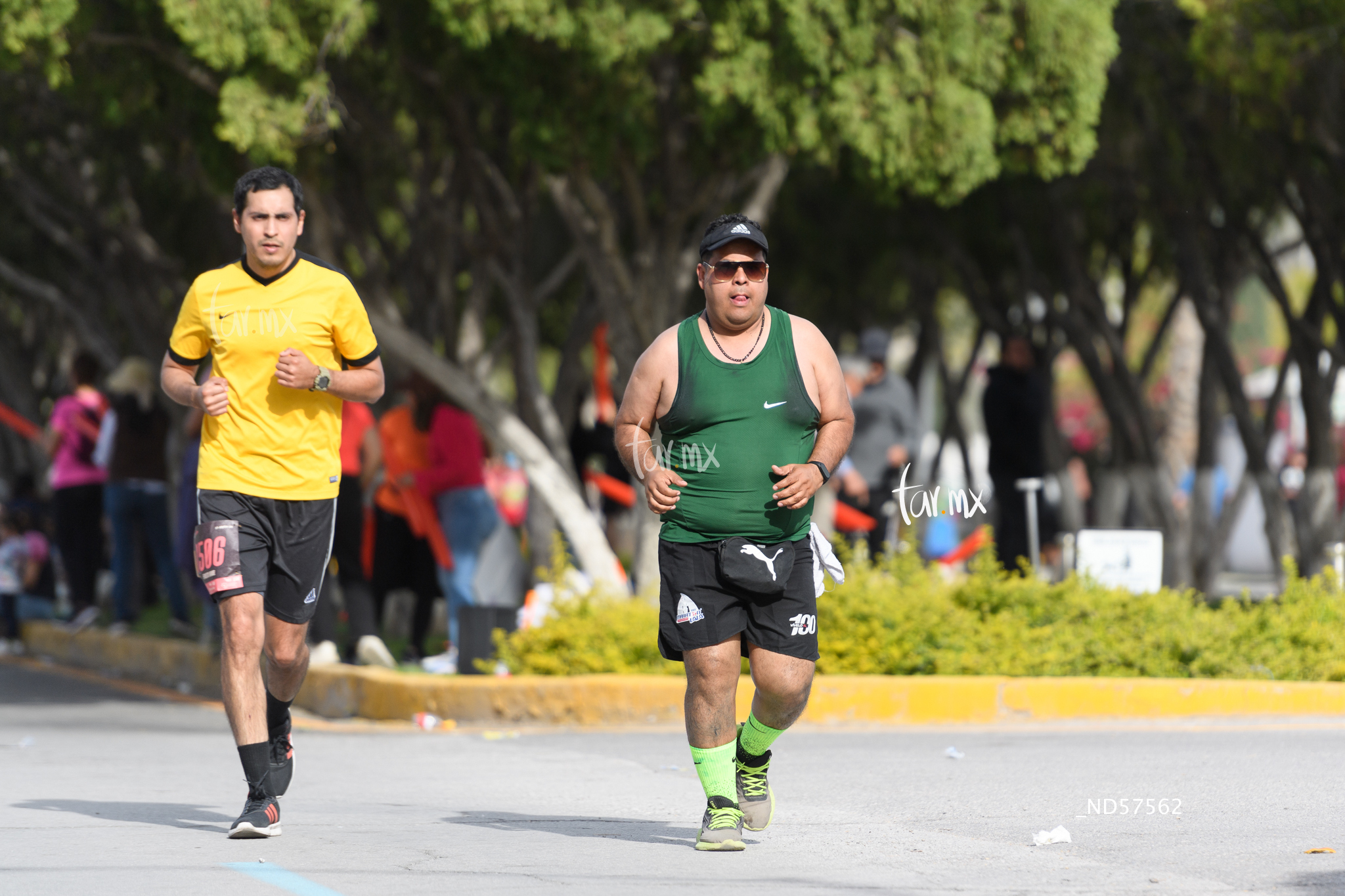 Maratón Lala 2024 | Maratón Lala 2024