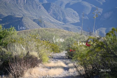 Cañón Jimulco, trail del sotol » Cañón Jimulco, trail del sotol