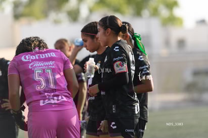 Santos Laguna vs Chivas Guadalajara S19 » Santos Laguna vs Chivas Guadalajara S19