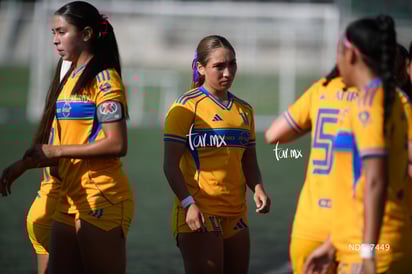 Santos Laguna vs Tigres UANL S19