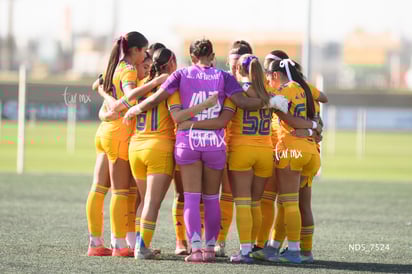 Tigres femenil » Santos Laguna vs Tigres UANL S19 visitas - 8 Tigres femenil » Santos Laguna vs Tigres UANL S19