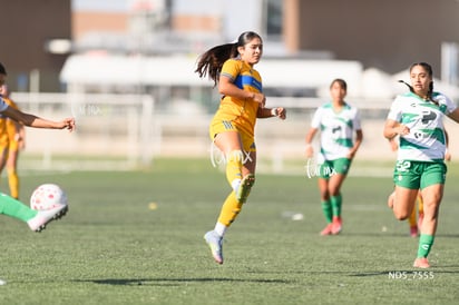 Santos Laguna vs Tigres UANL S19