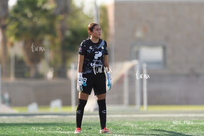 Santos Laguna vs Tigres UANL S19