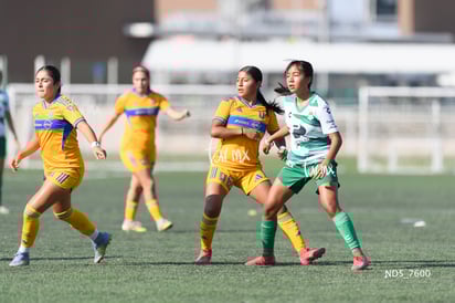 Santos Laguna vs Tigres UANL S19 » Santos Laguna vs Tigres UANL S19 visitas - 8 Santos Laguna vs Tigres UANL S19 » Santos Laguna vs Tigres UANL S19