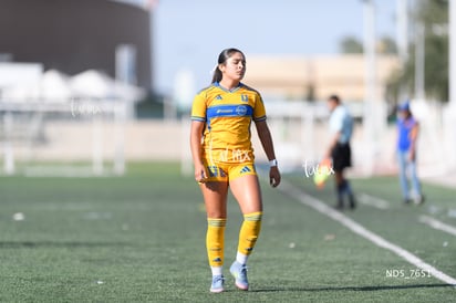 Santos Laguna vs Tigres UANL S19