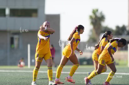 gol Lya Perez » Santos Laguna vs Tigres UANL S19