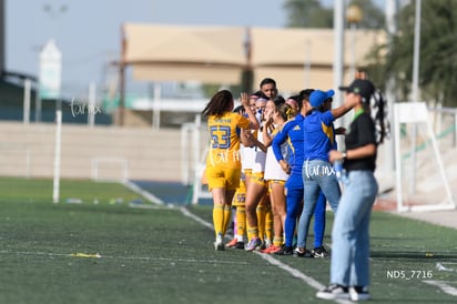 gol » Santos Laguna vs Tigres UANL S19