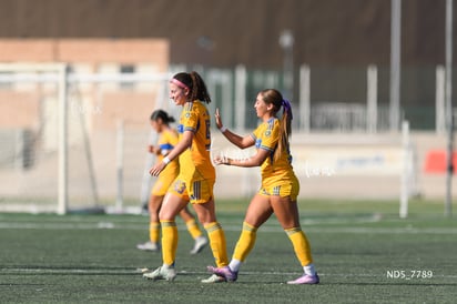 Santos Laguna vs Tigres UANL S19 | Santos Laguna vs Tigres UANL S19