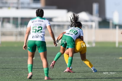 Santos Laguna vs Tigres UANL S19 » Santos Laguna vs Tigres UANL S19