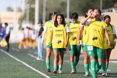 Santos Laguna vs Tigres UANL S19