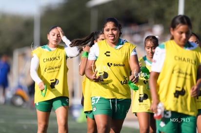 Santos Laguna vs Tigres UANL S19