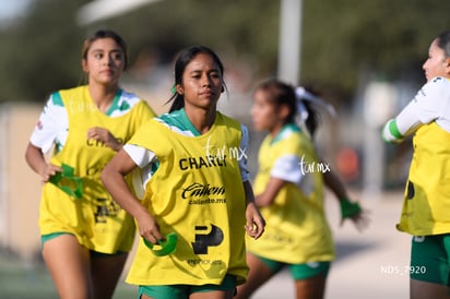 Santos Laguna vs Tigres UANL S19