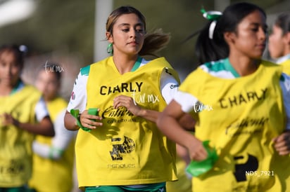 Santos Laguna vs Tigres UANL S19