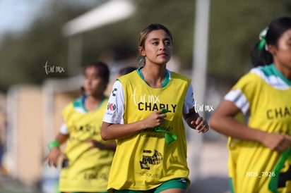 Santos Laguna vs Tigres UANL S19