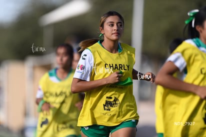 Santos Laguna vs Tigres UANL S19