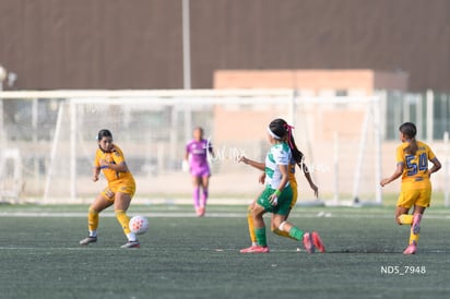 Mereli Zapata » Santos Laguna vs Tigres UANL S19