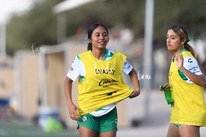 Santos Laguna vs Tigres UANL S19