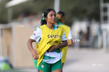 Santos Laguna vs Tigres UANL S19