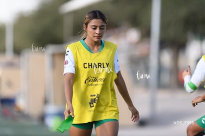 Santos Laguna vs Tigres UANL S19