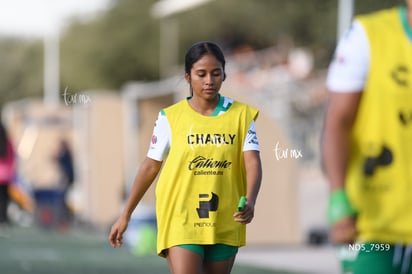 Santos Laguna vs Tigres UANL S19