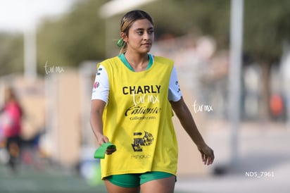 Santos Laguna vs Tigres UANL S19