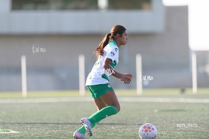 Daisy Porras | Santos Laguna vs Tigres UANL S19
