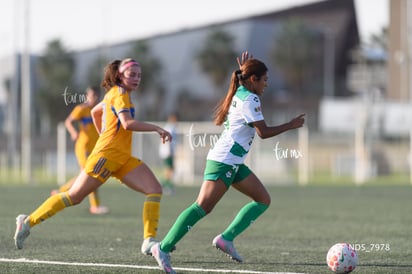 Daisy Porras | Santos Laguna vs Tigres UANL S19