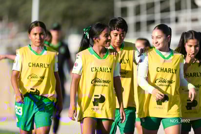 Santos Laguna vs Tigres UANL S19