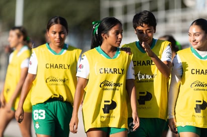 Santos Laguna vs Tigres UANL S19