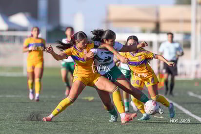 Alexa Gutiérrez, Kimberly Morales » Santos Laguna vs Tigres UANL S19