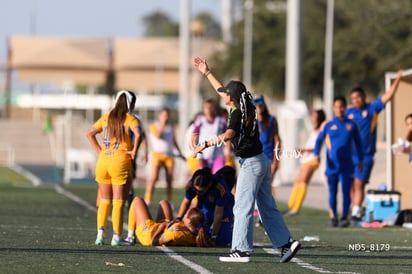 Santos Laguna vs Tigres UANL S19 | Santos Laguna vs Tigres UANL S19