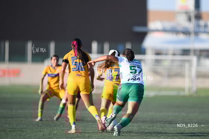 Santos Laguna vs Tigres UANL S19 | Santos Laguna vs Tigres UANL S19