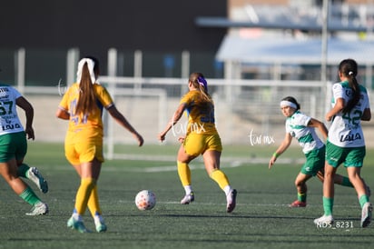 Ángeles Sánchez » Santos Laguna vs Tigres UANL S19 visitas - 7 Ángeles Sánchez » Santos Laguna vs Tigres UANL S19