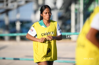 Santos Laguna vs Tigres UANL S19