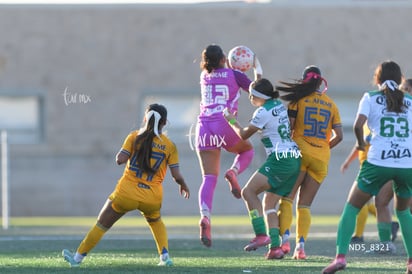 Santos Laguna vs Tigres UANL S19 » Santos Laguna vs Tigres UANL S19