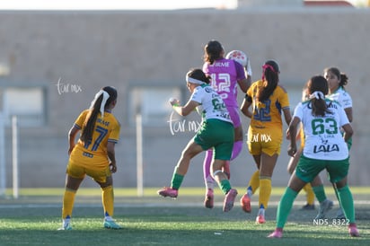 Santos Laguna vs Tigres UANL S19 | Santos Laguna vs Tigres UANL S19