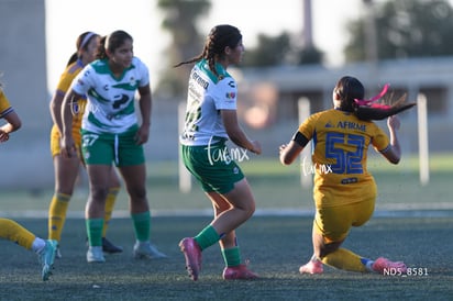 Santos Laguna vs Tigres UANL S19 | Santos Laguna vs Tigres UANL S19