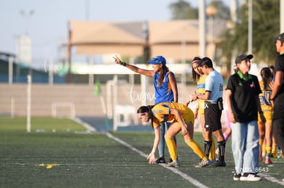 Santos Laguna vs Tigres UANL S19 » Santos Laguna vs Tigres UANL S19